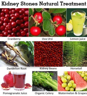 Kidney Cleanse Program
