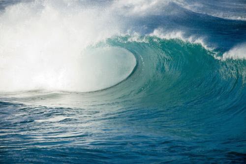 Your Body is an Ocean
