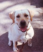 My Dog has found the Fountain of Youth!