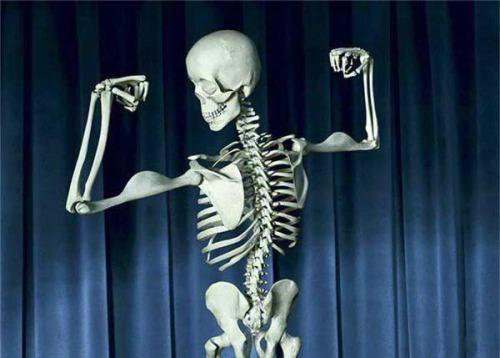 What is Bone Density Skeletal Support?