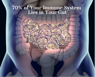 Allergies Start in the Gut: How to Strengthen Your Body’s First Line of Defense